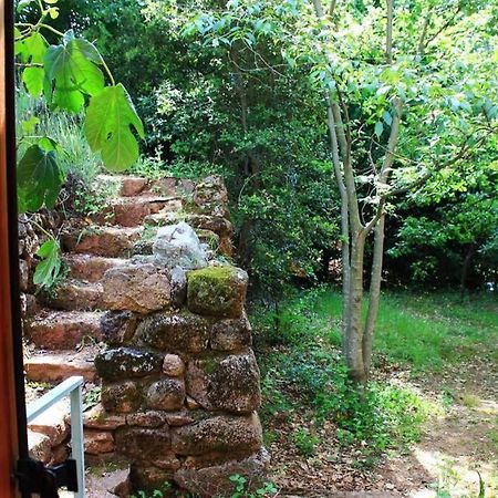 Belle Et Grande Maison Ardechoise Payzac  Экстерьер фото